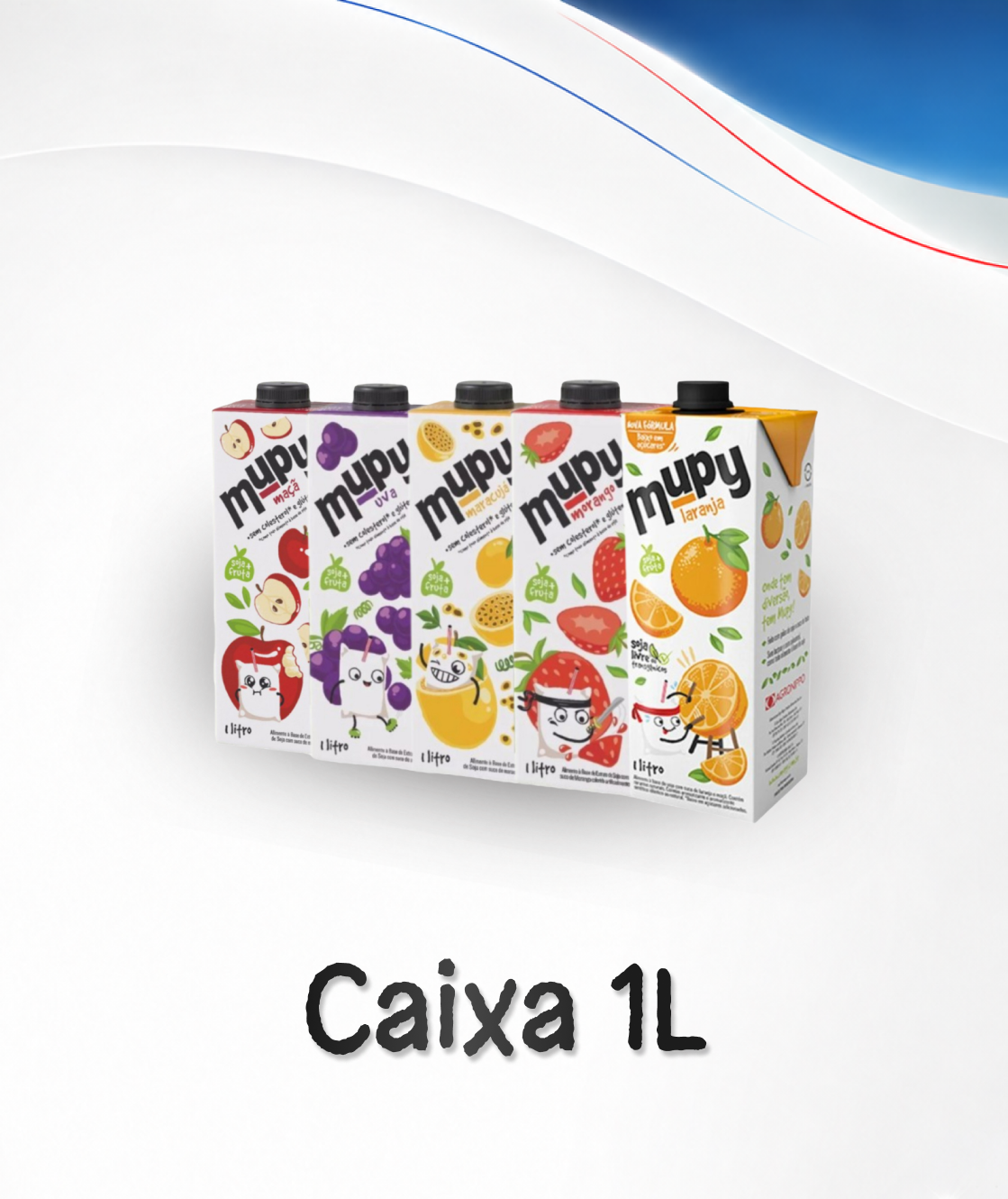 Caixa 1L